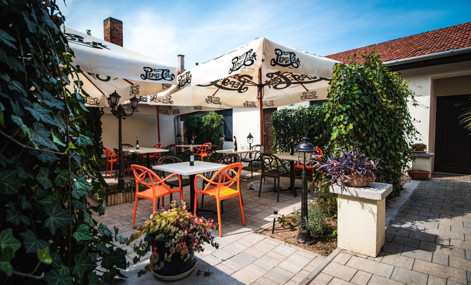 Bed and Breakfast Fakapu Pince Es Panzio Tokaj Exterior foto